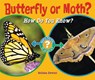 Butterfly or Moth?: How Do You Know? - Melissa Stewart - 9781598452358