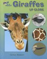Giraffes Up Close - Carmen Bredeson - 9781598454147