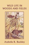 Wild Life in Woods and Fields (Yesterday's Classics) - Arabella B. Buckley - 9781599152714