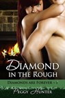 Diamond In The Rough - Peggy Hunter - 9781603136402