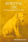 Beautiful Joe - Marshall Saunders - 9781604442014