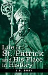 Life of St. Patrick and His Place in History - J B Bury - 9781605204017