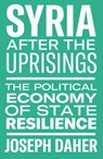 Syria After the Uprisings - Joseph Daher - 9781608469246