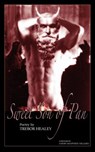Sweet Son of Pan - Trebor Healey - 9781608640348