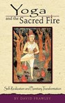 Yoga and the Sacred Fire - David Frawley - 9781608690480