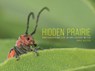 Hidden Prairie - Chris Helzer - 9781609386931