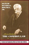 The Annotated Common Law: with 2010 Foreword and Explanatory Notes - Steven Alan Childress - 9781610270137
