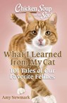 Chicken Soup for the Soul: What I Learned from My Cat - Amy Newmark - 9781611591217