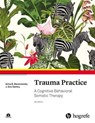 Trauma Practice - Anna B. Baranowsky ; J. Eric Gentry - 9781613345924