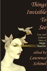 Things Invisible to See: Lesbian and Gay Tales of Magic Realism - Lawrence Schimel - 9781613900833