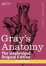 Gray's Anatomy - Henry Gray - 9781616404680