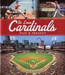 St. Louis Cardinals: Past & Present - Doug Feldmann - 9781616731069