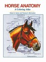 HORSE ANATOMY - Robert A. Kainer ; Thomas O. Mccracken - 9781617812408