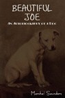 Beautiful Joe - Marshall Saunders - 9781618950147