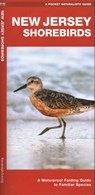 New Jersey Shorebirds - Waterford Press Waterford Press ; James Kavanagh - 9781620055090