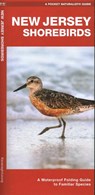 New Jersey Shorebirds - J M Kavanagh - 9781620055090