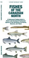 Fishes of the Canadian North - Waterford Press Waterford Press ; Matthew Morris - 9781620056042