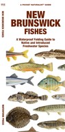 New Brunswick Fishes - Waterford Press Waterford Press ; Matthew Morris - 9781620056066