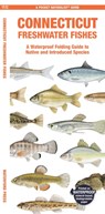 Connecticut Freshwater Fishes - Matthew Morris - 9781620056776