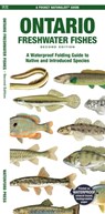 Ontario Freshwater Fishes - Matthew Morris - 9781620057117