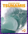 Tsunamis - Cari Meister - 9781620312698
