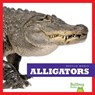 Alligators - Vanessa Black - 9781620313794