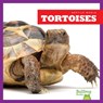 Tortoises - Vanessa Black - 9781620313862