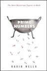 Prime Numbers: The Most Mysterious Figures in Math - David Wells - 9781620458242