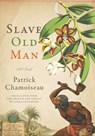 Slave Old Man - Patrick Chamoiseau - 9781620972953