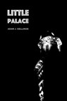 Little Palace - Adam Gellings - 9781622889266