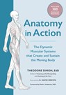 Anatomy in Action - Theodore Dimon Jr. - 9781623175801