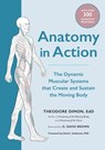 Anatomy in Action - Theodore Dimon Jr - 9781623175818