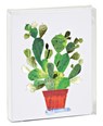 Cactus Notecard Set -  - 9781623257910