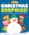 Jelly Bear Christmas Surprise - STANSBIE,  Stephanie - 9781623702472