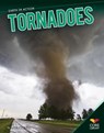 Tornadoes - Dale-Marie Bryan - 9781624030055