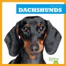 Dachshunds - Kaitlyn Duling - 9781624967689
