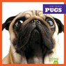 Pugs - Kaitlyn Duling - 9781624967825