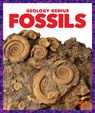 Fossils - Rebecca Pettiford - 9781624968273