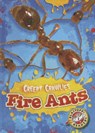 Fire Ants - Kari Schuetz - 9781626172227