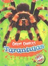 Tarantulas - Kari Schuetz - 9781626172272