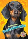 Dachshunds - Mari Schuh - 9781626172388