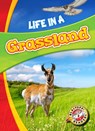 Life in a Grassland - Laura Hamilton Waxman - 9781626173187
