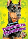 Doberman Pinschers - Christina Leighton - 9781626173927