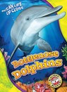 Bottlenose Dolphins - Kari Schuetz - 9781626174139