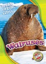 Walruses - Kari Schuetz - 9781626174245