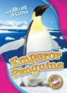 Emperor Penguins - Heather Adamson - 9781626176416
