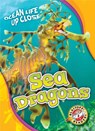 Sea Dragons - Heather Adamson - 9781626176447