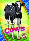 Cows - Kari Schuetz - 9781626177215