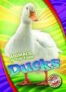 Ducks - Kari Schuetz - 9781626177222