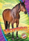 Horses - Christina Leighton - 9781626177246